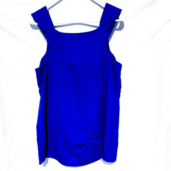 🔥LAST CHANCE! 🔥Mossimo Ruffle Front Sleeveless Blouse - Picture 3 of 3